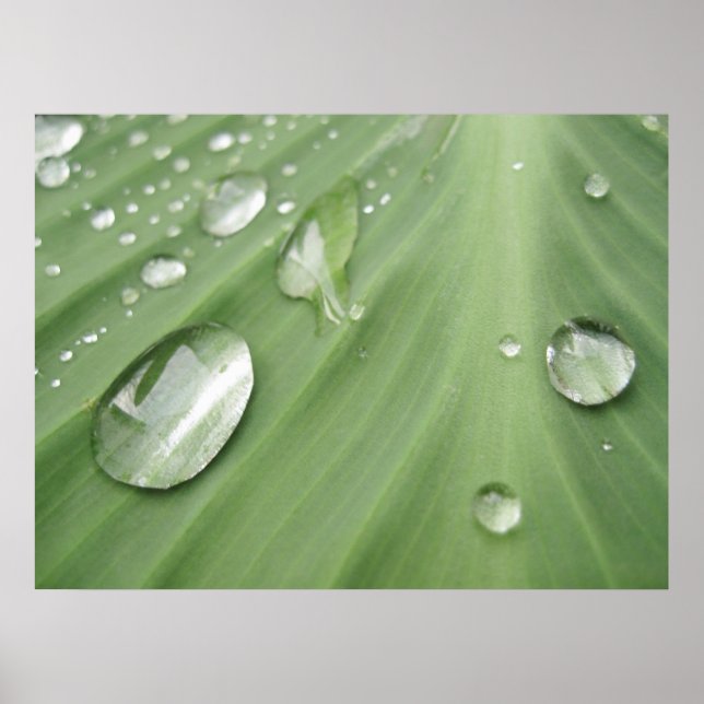 Pôster Largar por Largura (Frente)