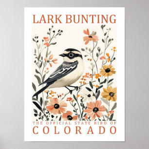 Poster Lark Bunting Bird, Viagem do Colorado USA