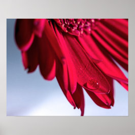 Poster Lass Blüten Sprechen