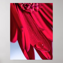 Poster Lass Blüten Sprechen