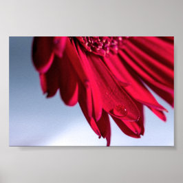 Poster Lass Blüten Sprechen