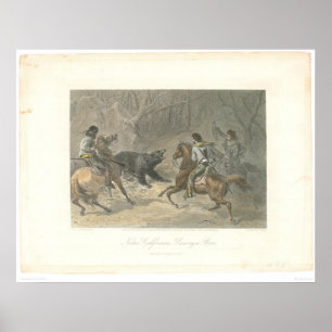 Pôster Lassoring a Bear (1178A)