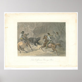 Pôster Lassoring a Bear (1178A)