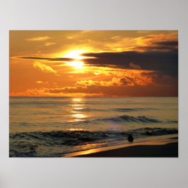 Pôster Last Sandpiper