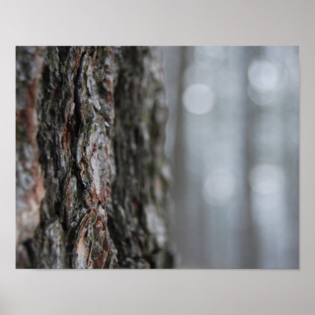 Poster Latido da árvore (Frente)