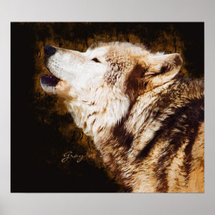 Poster Latir do lobo cinzento