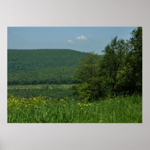 Pôster Laurel Highlands Pennsylvania Summer Photoics