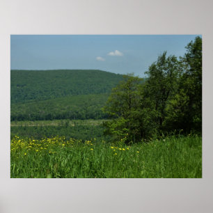 Pôster Laurel Highlands Pennsylvania Summer Photoics