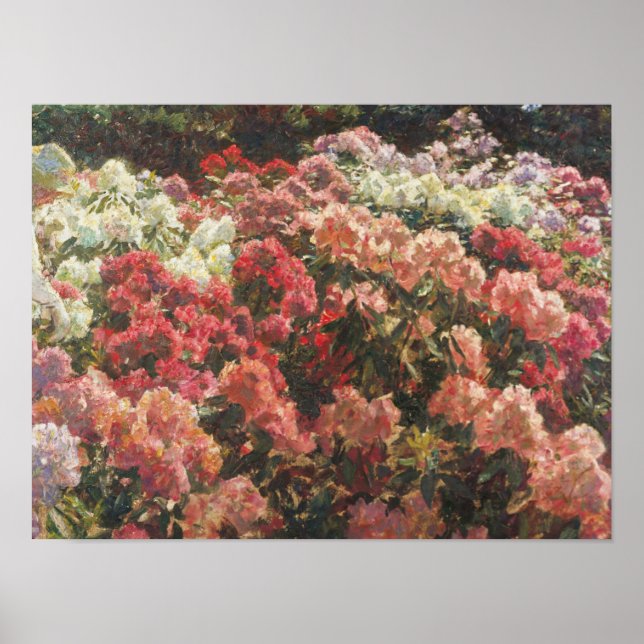 Poster Laurits Tuxen - Rhododendron no Jardim de Tuxen (Frente)