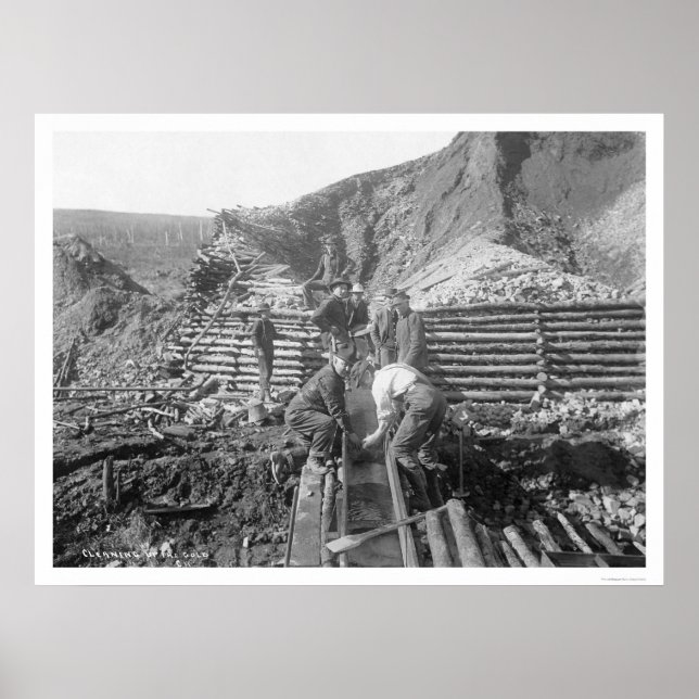 Poster Lavagem Dourada No Alasca 1916 (Frente)