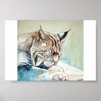 Pôster Lavagem Jantada AF - Bobcat