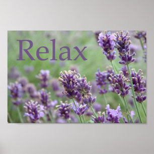 Poster Lavanda