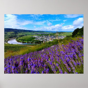 Poster Lavanda ao longo do Mosela na Alemanha