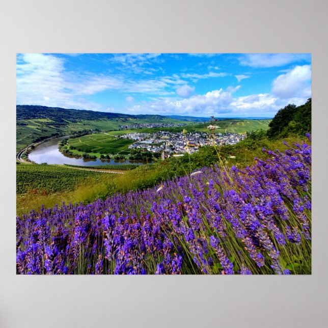 Poster Lavanda ao longo do Mosela na Alemanha (Frente)