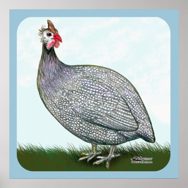 Poster Lavanda Da Guiné Em Vigor (Frente)