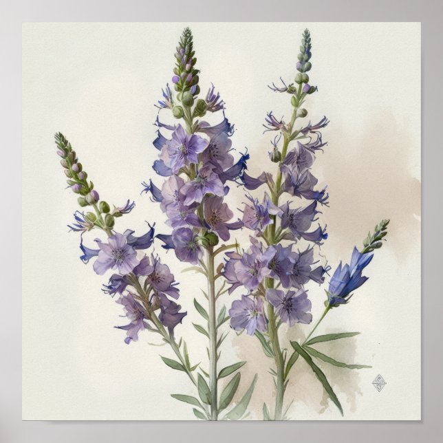 Poster lavanda de Arte Flor de Larkspur (Frente)