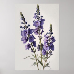 Poster lavanda de Arte Flor de Larkspur