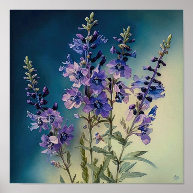 Poster lavanda de Arte Flor de Larkspur (Frente)
