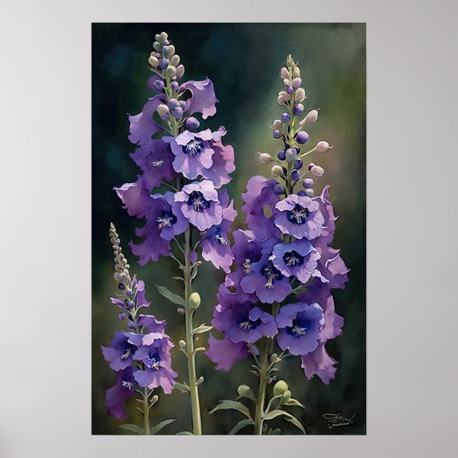 Poster lavanda de Arte Flor de Larkspur (Frente)