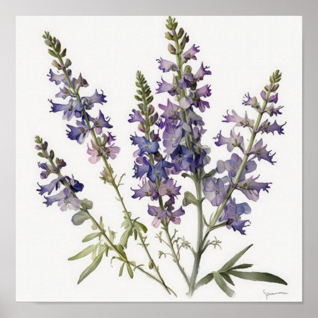 Poster lavanda de Arte Flor de Larkspur (Frente)