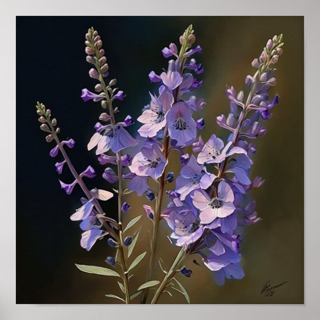 Poster lavanda de Arte Flor de Larkspur (Frente)