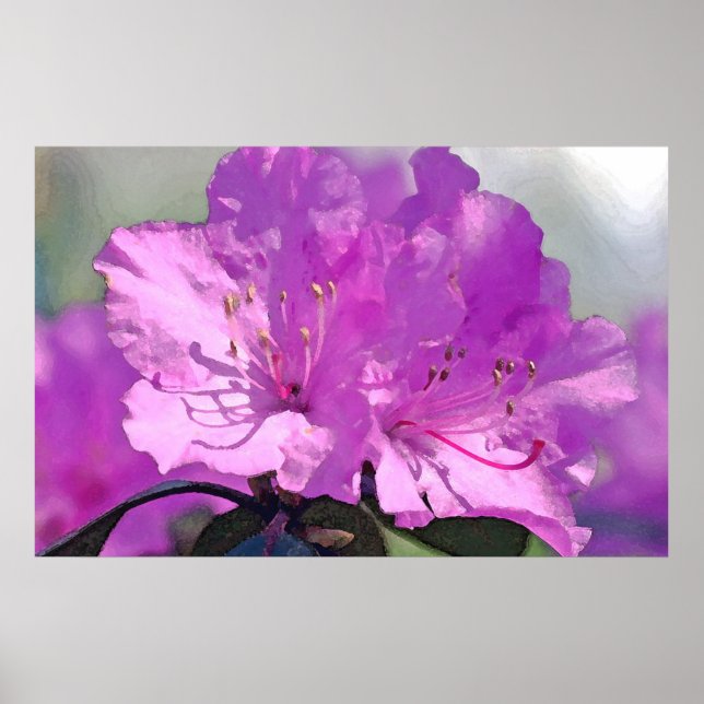 Poster Lavanda deliciosa (Frente)