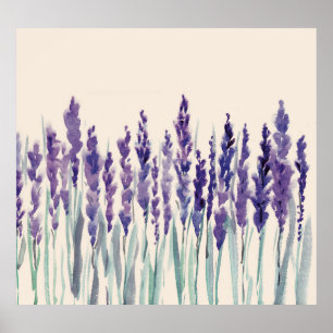 Poster Lavanda francesa: Ilustração de Aquarela