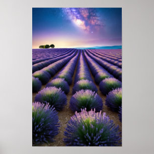Poster Lavanda Natureza Ao Ar Livre Paisagem Calma Pacífi