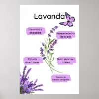 Lavanda y sus beneficiários em español