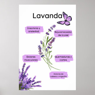 Poster Lavanda y sus beneficiários em español