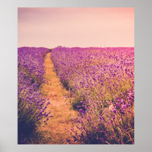Poster Lavander