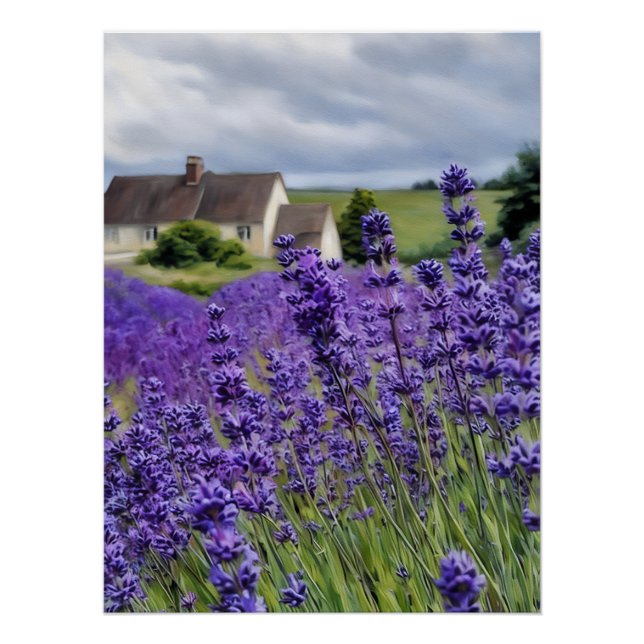 Pôster Lavender dreams (Frente)