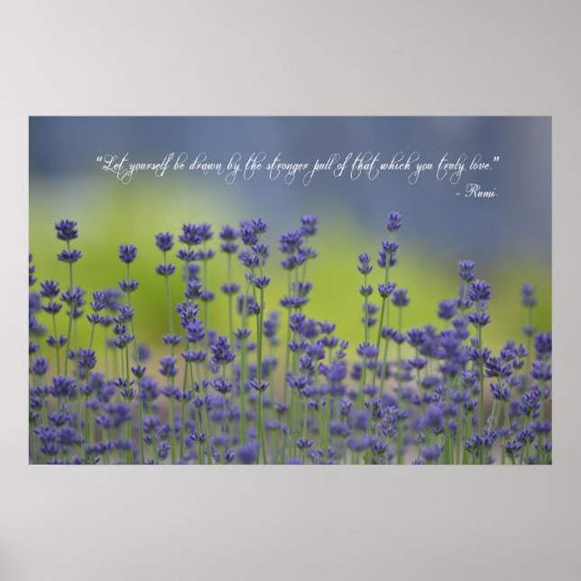 Pôster Lavender with Quote (Frente)