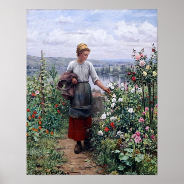 Poster Le Rosa (Frente)