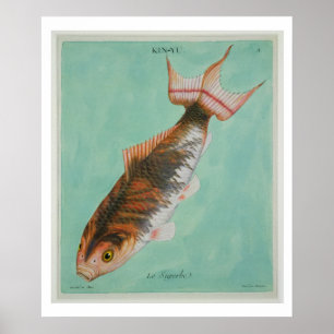 Poster Le Superbe, gravado por Francois Nicholas Martinet