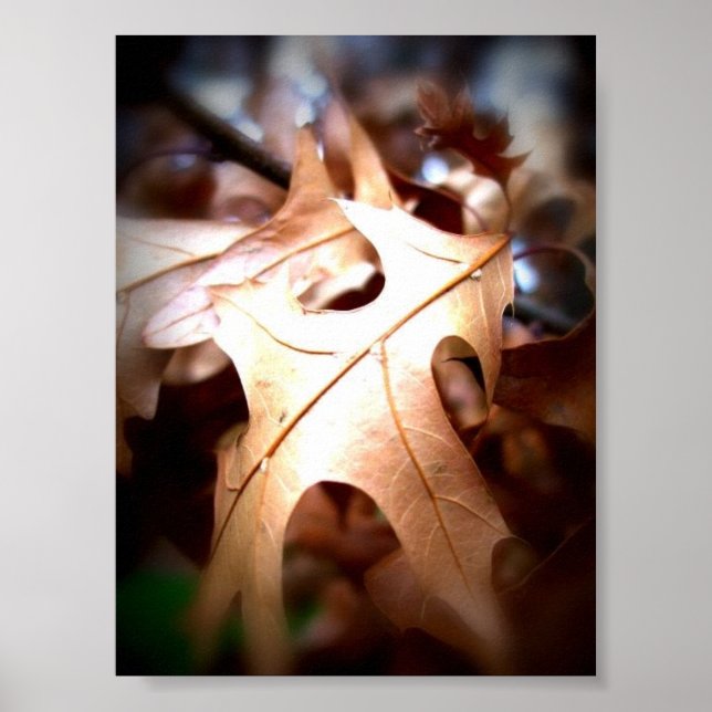 Pôster Leaf... (Frente)