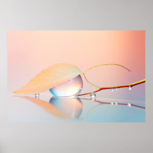 Poster Leaf Água Caída Natureza Serene Tranquil