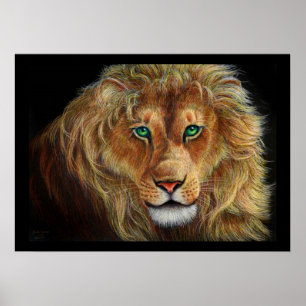 Pôster Leão