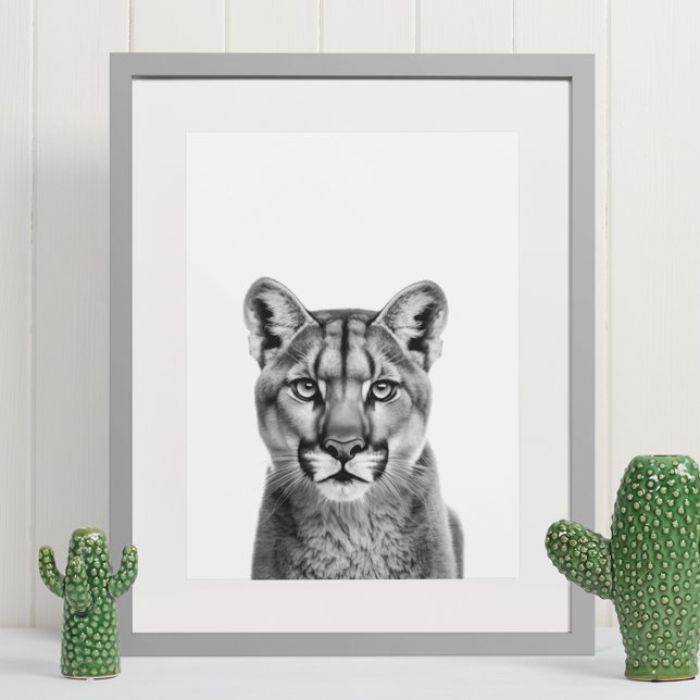 Poster Leão de Montanha Puma Grande Gato Branco Preto (Criador carregado)