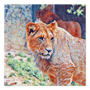 Pôster leão do aquarell