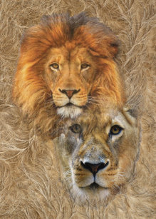 Signoleão At Leoninaleao Instagram Profile Picdeer