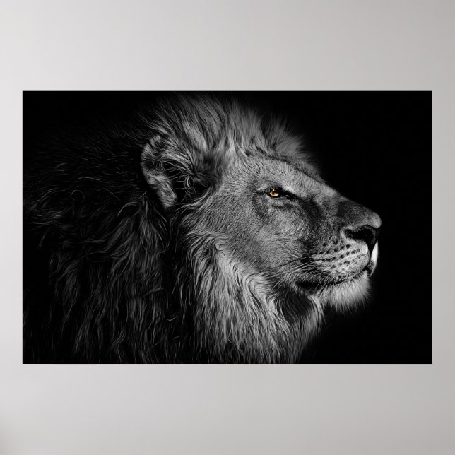Poster Leão em preto e branco (Frente)