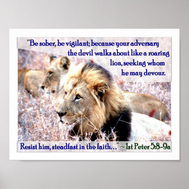 Pôster Leão itinerante (Frente)