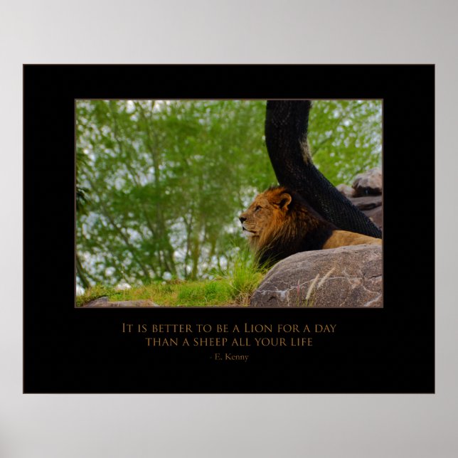 Poster Leão na montagem (Frente)