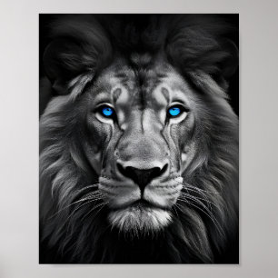 Poster Leão Olhado Azul