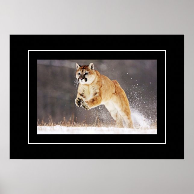 Poster Leão poster-Montanha (Frente)