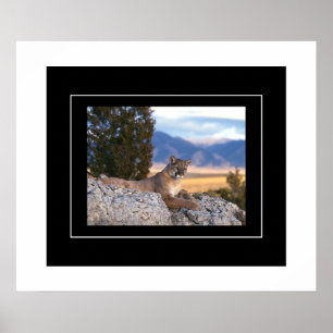 Poster Leão poster-Montanha