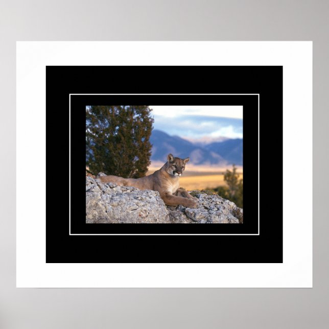 Poster Leão poster-Montanha (Frente)