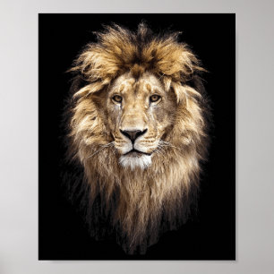 Poster Leão Principal Face Animal Grande Gato