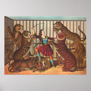 Pôster Leão Queen 1874